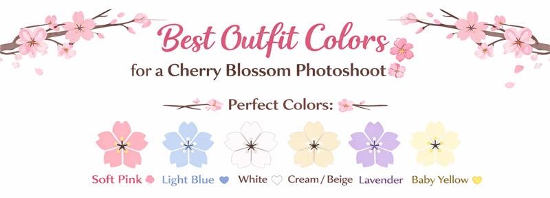 cherry blossom photo sessions washington dc